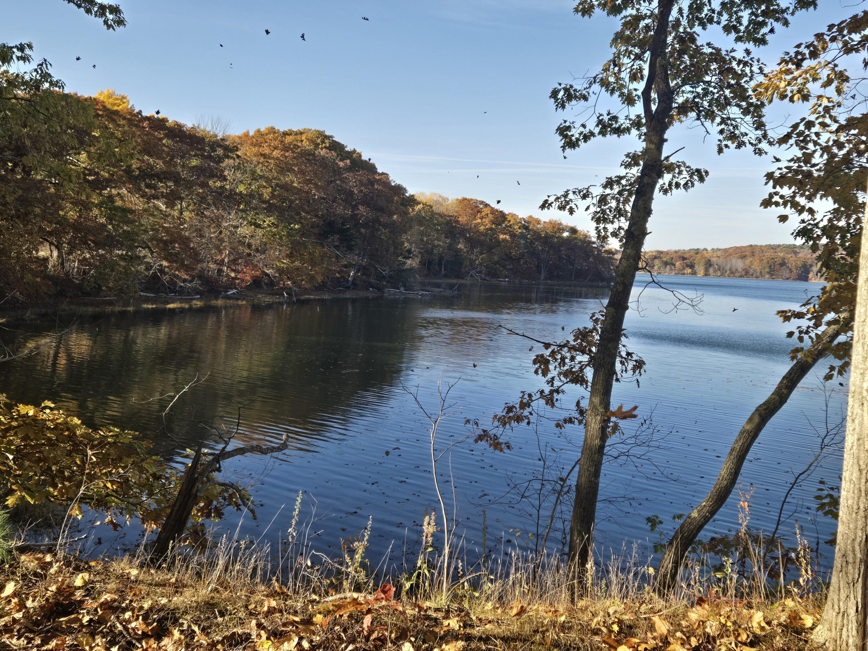 902 Dutch Neck Road Waldoboro, ME 04572 - Photo 94 of 107 902 Dutch Neck - Photo 15