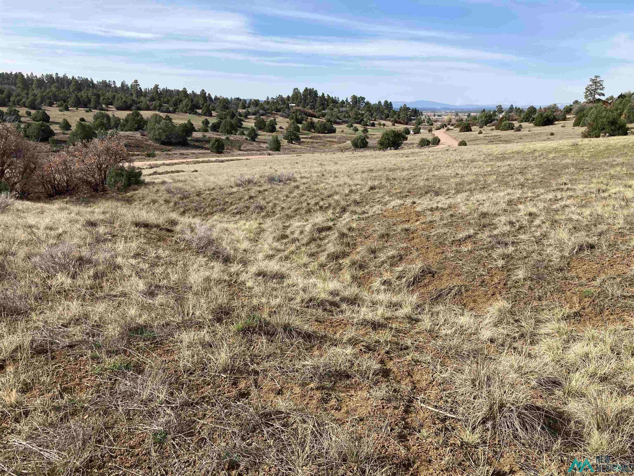 1 Cr 341 Road Chama, NM 87520 - Photo 9 of 17 Gallery Image 9