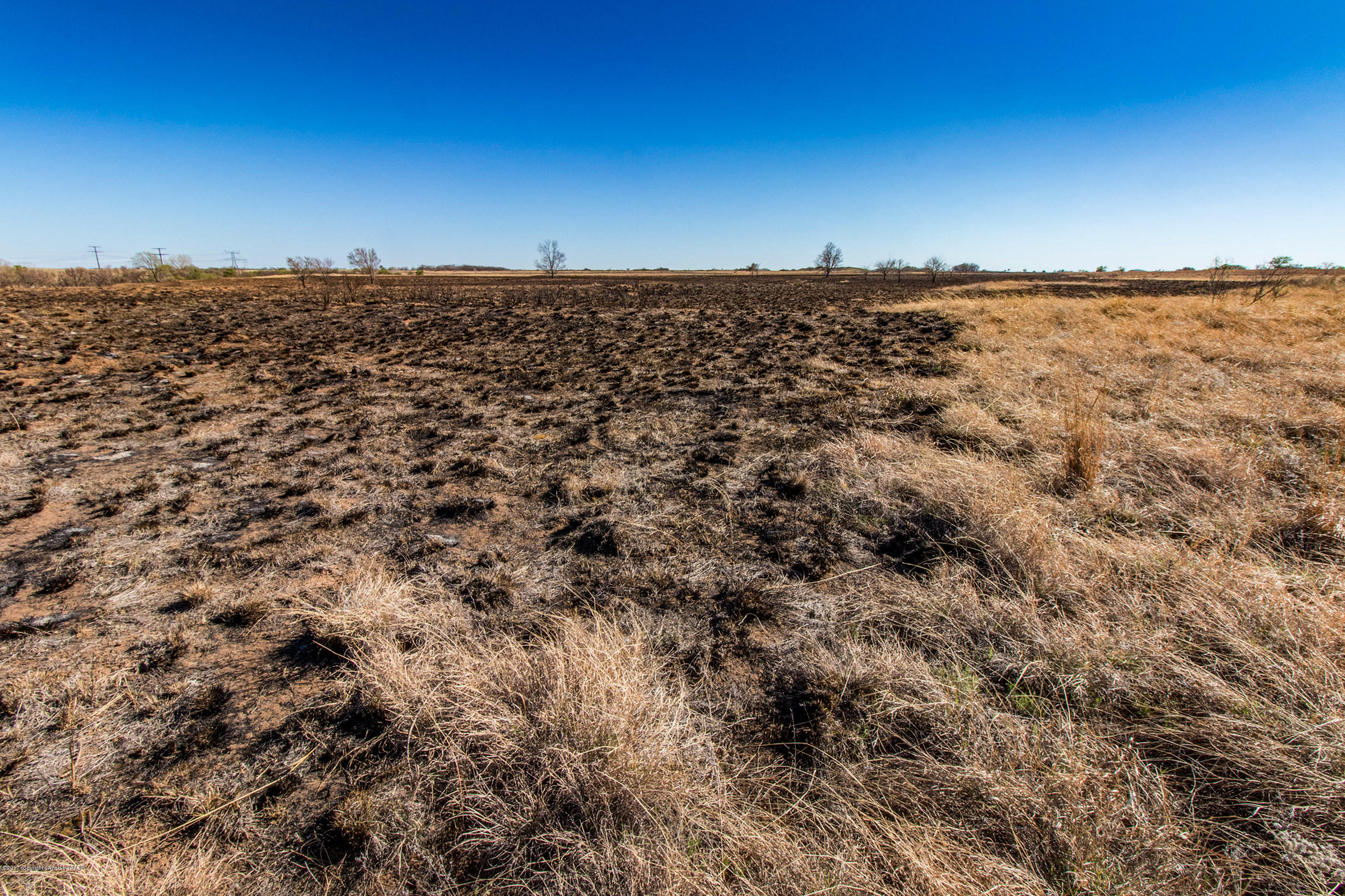 240 Lone Tree Turkey, TX 79261 - Photo 17 of 20 240 Acres