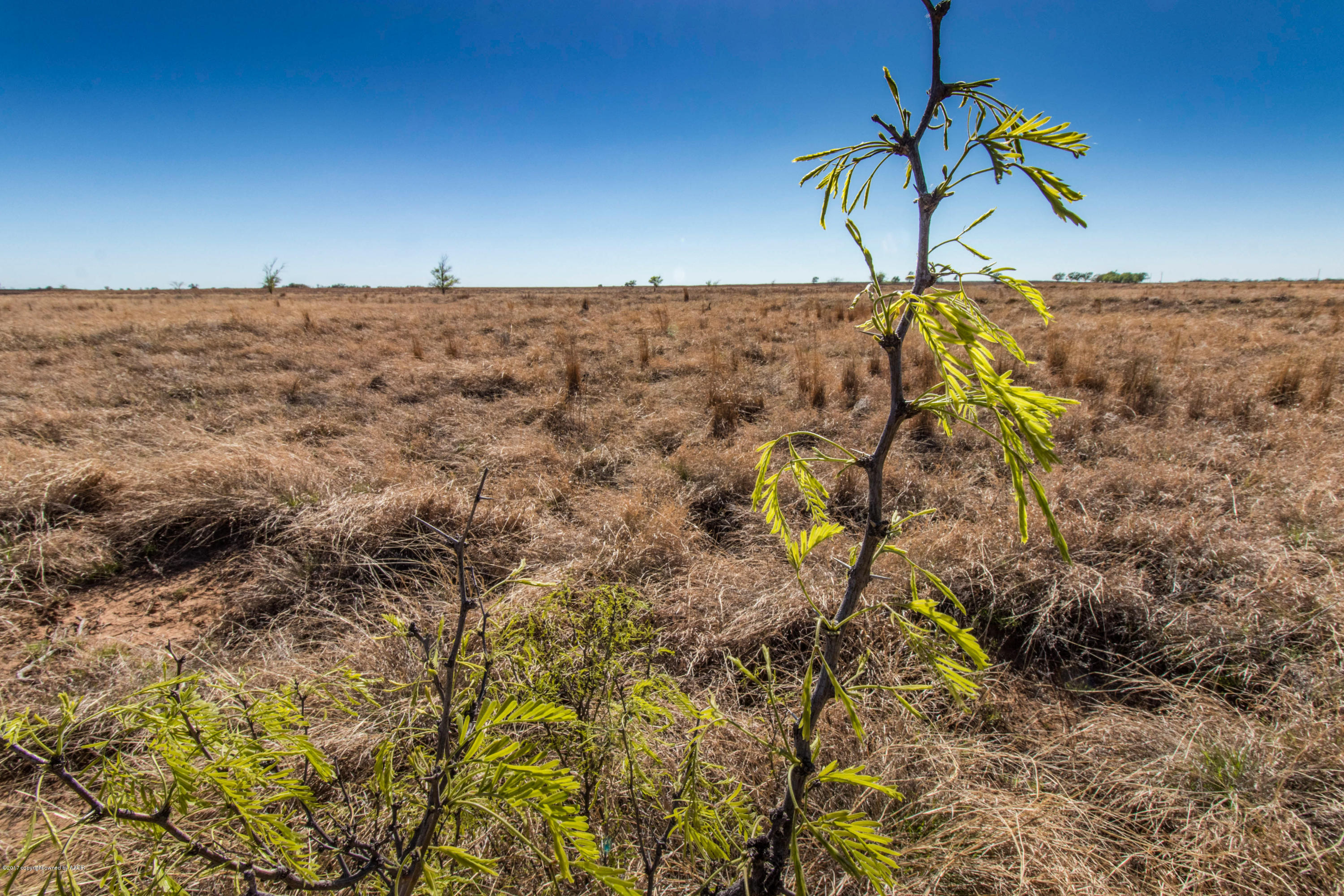 240 Acres
