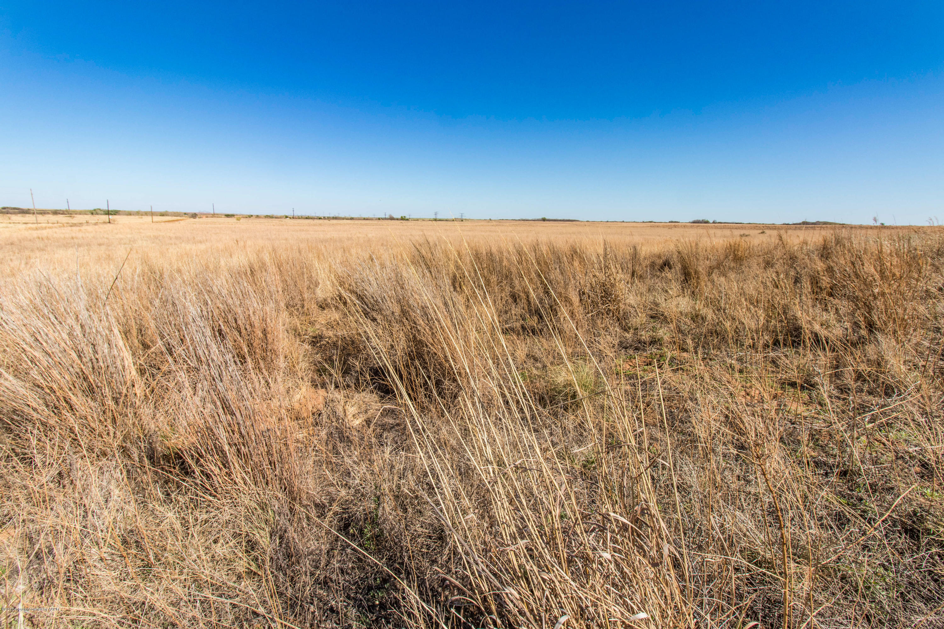Grassland