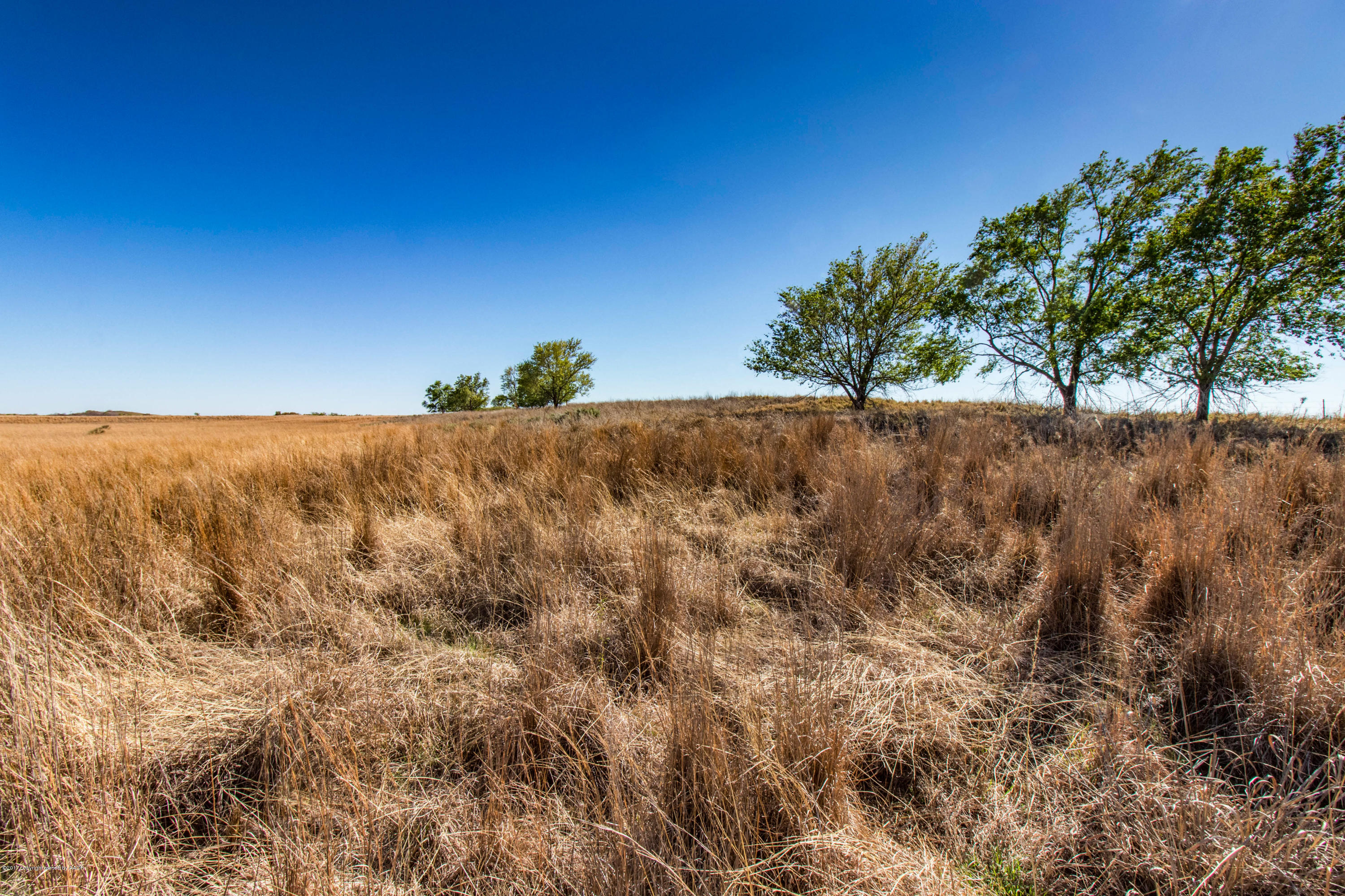 240 Lone Tree Turkey, TX 79261 - Photo 8 of 20 Grassland