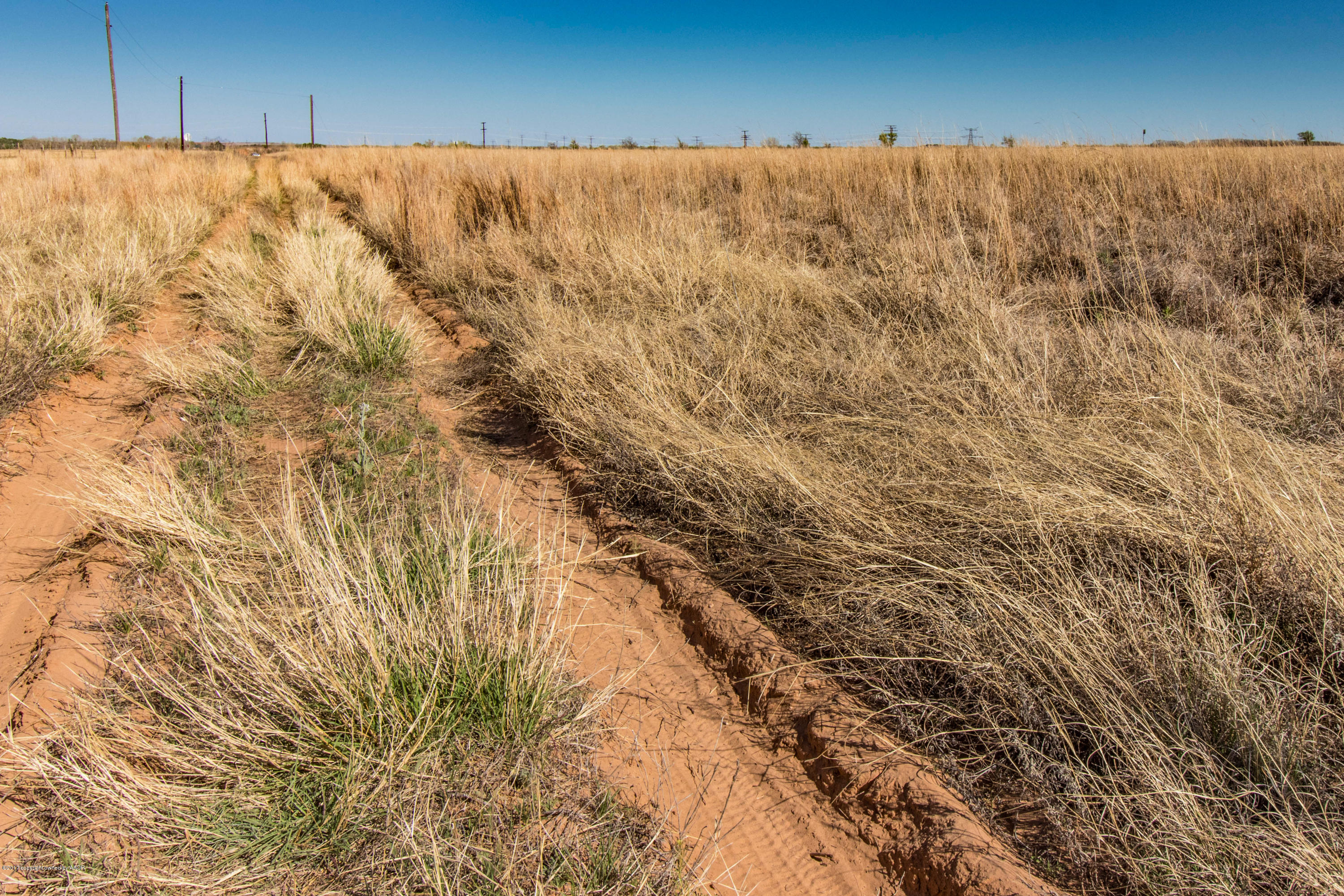 240 Lone Tree Turkey, TX 79261 - Photo 9 of 20 Grassland