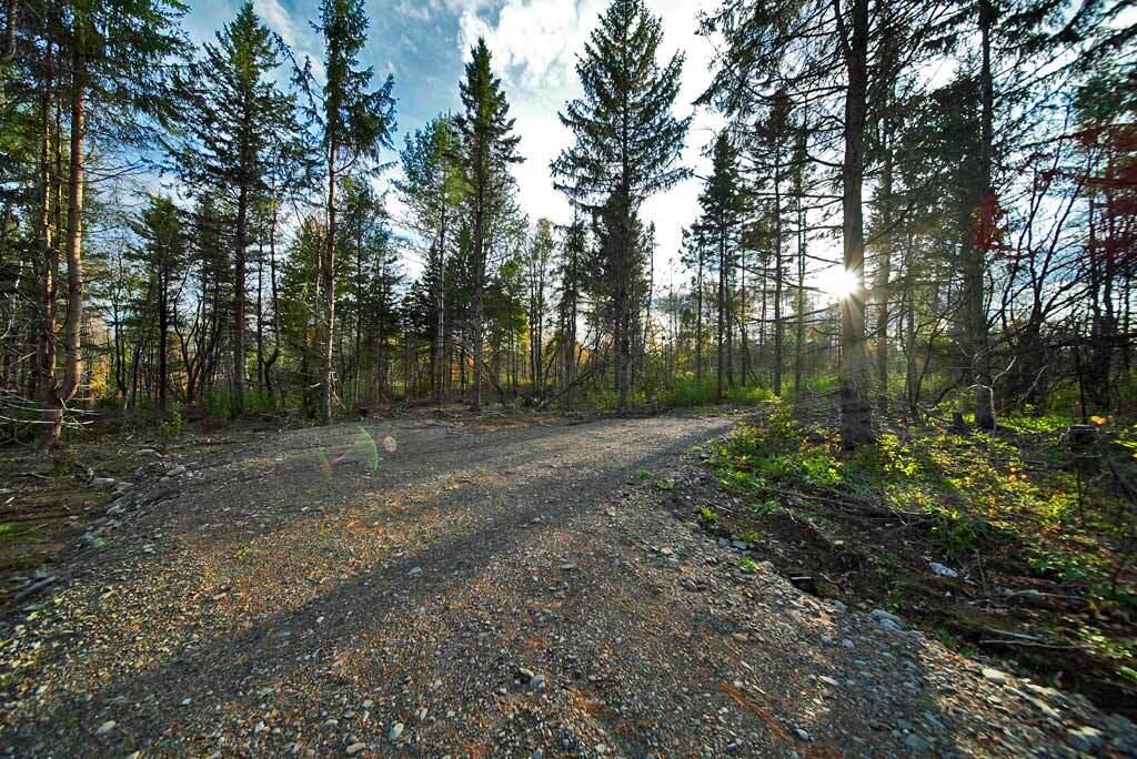Lot 4 New Limerick Highlands Us 2 Route New Limerick, ME 04761 - Photo 18 of 24 new-maine-house-building-lo