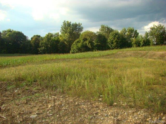 2105 West Barnes Road Fostoria, MI 48435 - Photo 2 of 9 75 acres Barnes Rd. 010