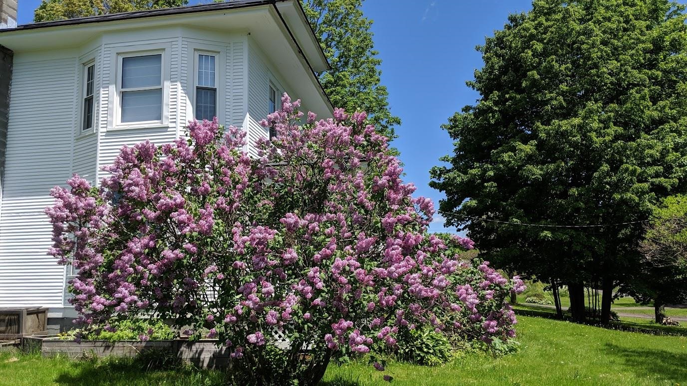 1531 Curtis Road Randolph, VT 05061 - Photo 2 of 40