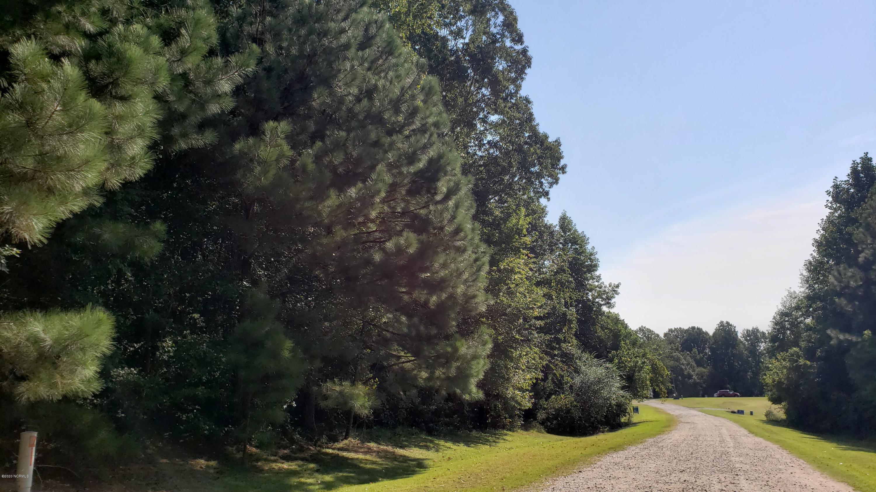 1841 J P Road Whitakers, NC 27891 - Photo 3 of 5 County living at it's best.