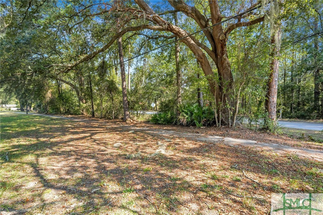 616 Olmstead Drive Hinesville, GA 31313 - Photo 4 of 40