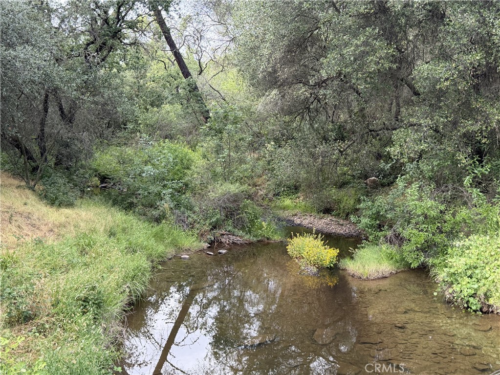 0 Ophir Road Oroville, CA 95966 - Photo 25 of 29 a view of a forest with a tree