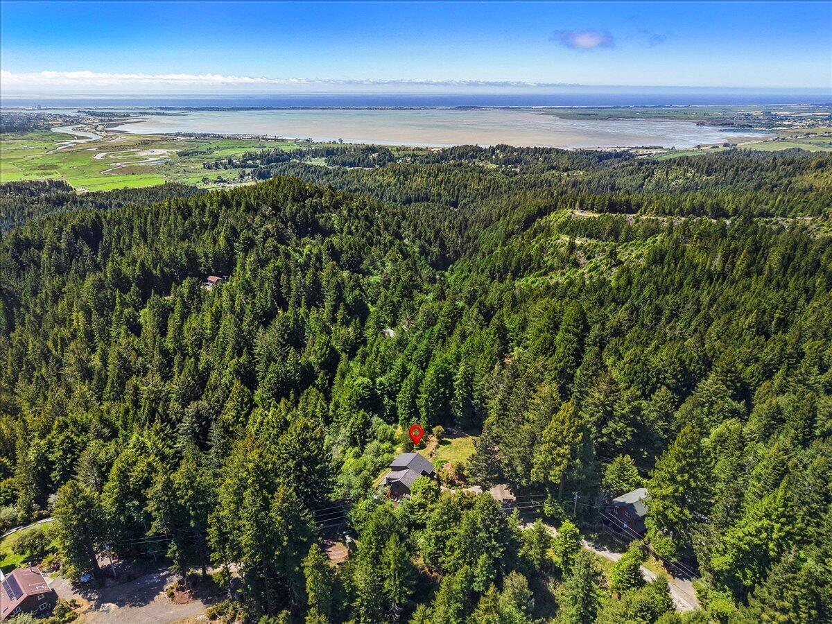 186 Shale Road Kneeland, CA 95549 - Photo 4 of 77