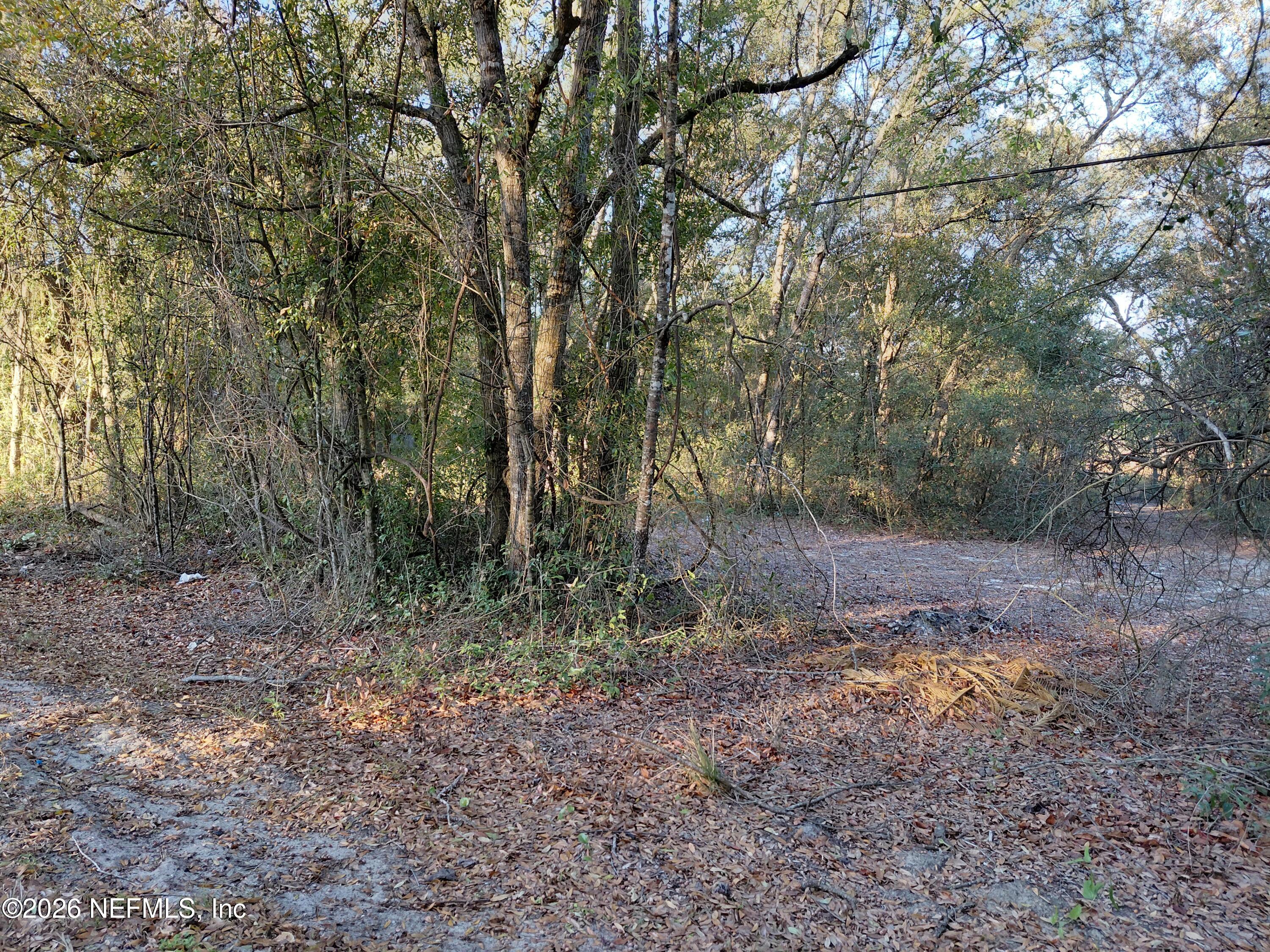 160 Putnam Loop Road Melrose, FL 32666 - Photo 2 of 4 Driveway to back of