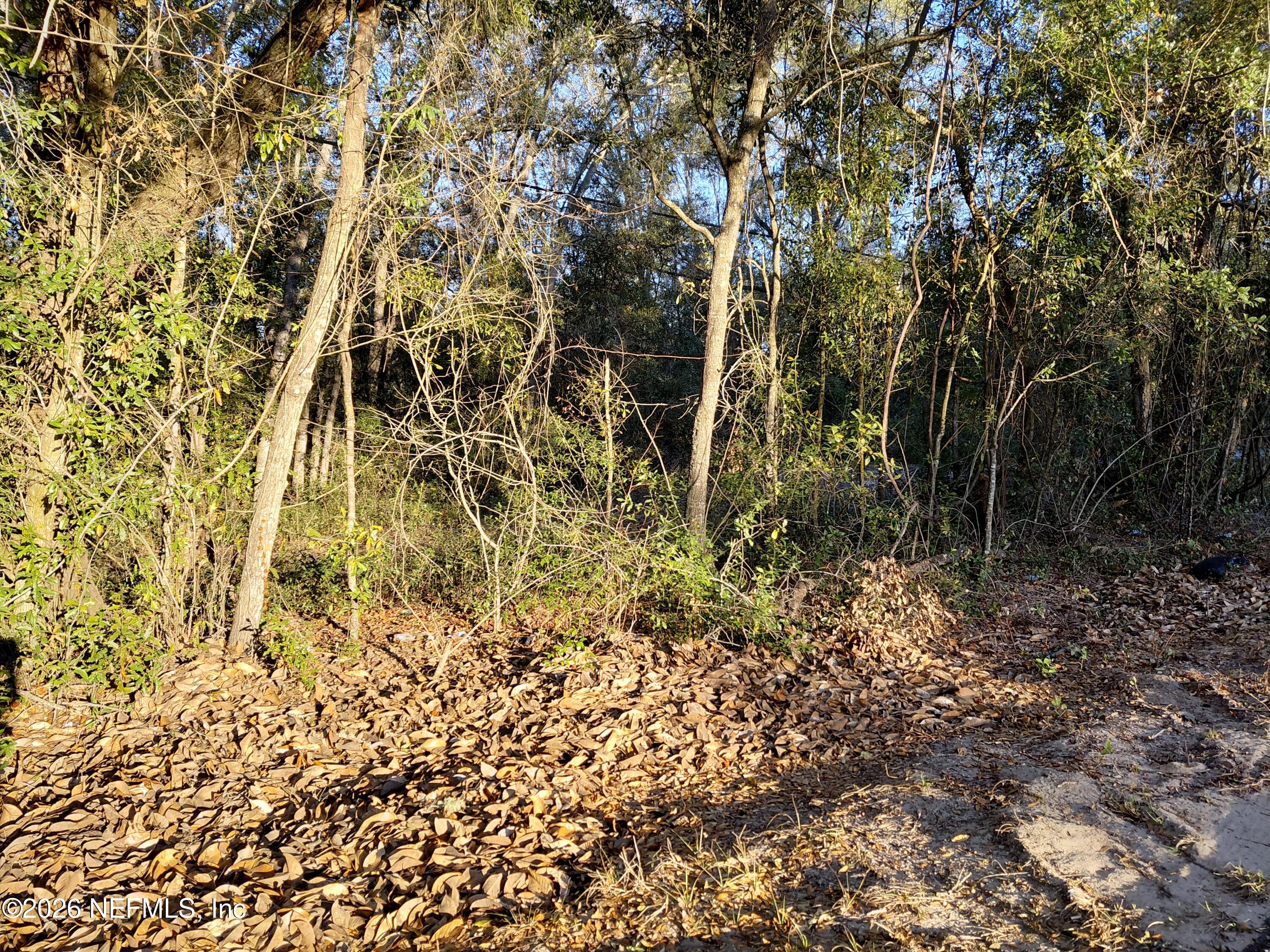 160 Putnam Loop Road Melrose, FL 32666 - Photo 3 of 4 Wooded Lot