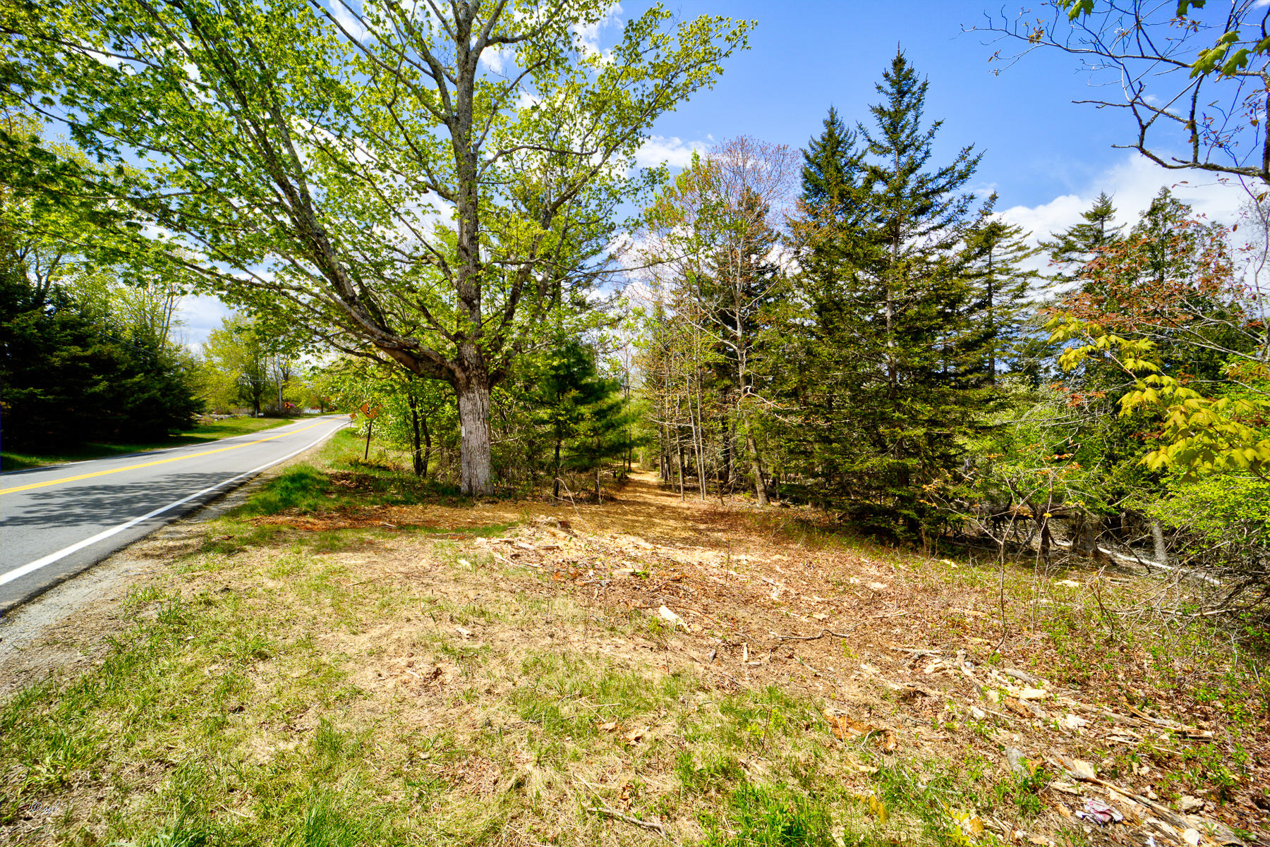 Tbd Castine Road Castine, ME 04421 - Photo 3 of 18 Castino Land 21