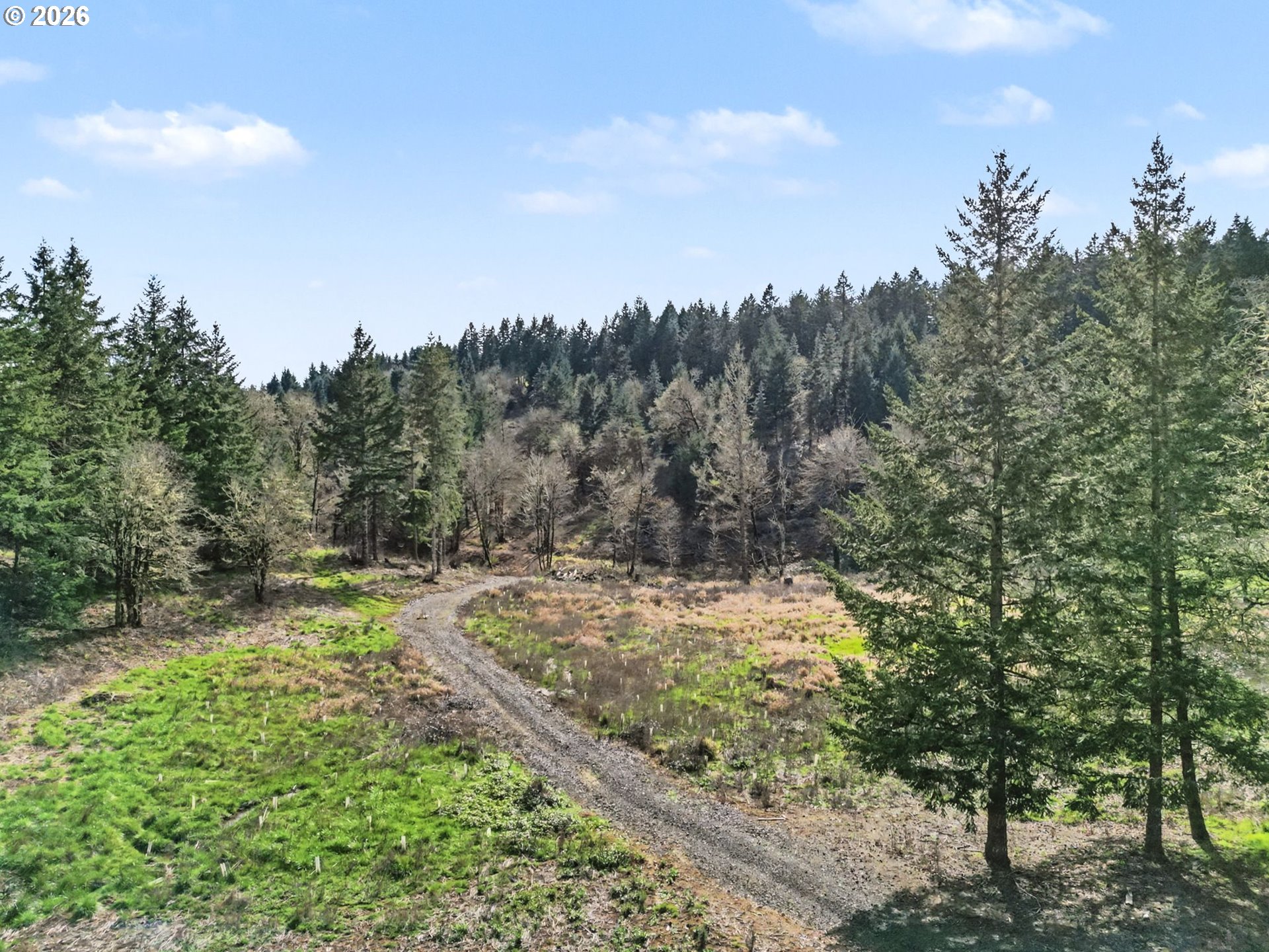 16310 Oakdale Road Dallas, OR 97338 - Photo 42 of 45 a view of a yard with large trees