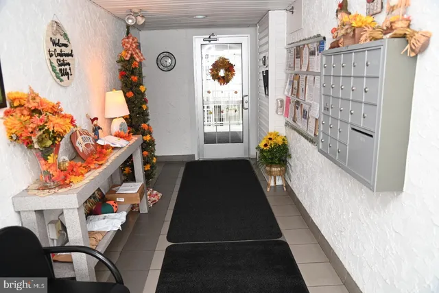 a view of a street that has a bunch of plants and trees