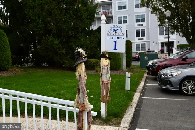 a view of a backyard with plants and a garden