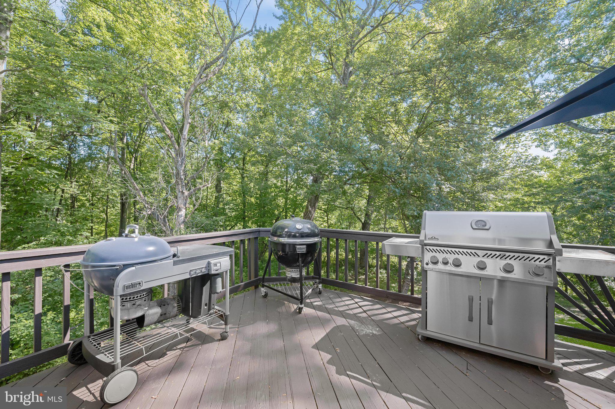 8329 Painted Rock Road Columbia, MD 21045 - Photo 51 of 64 Deck