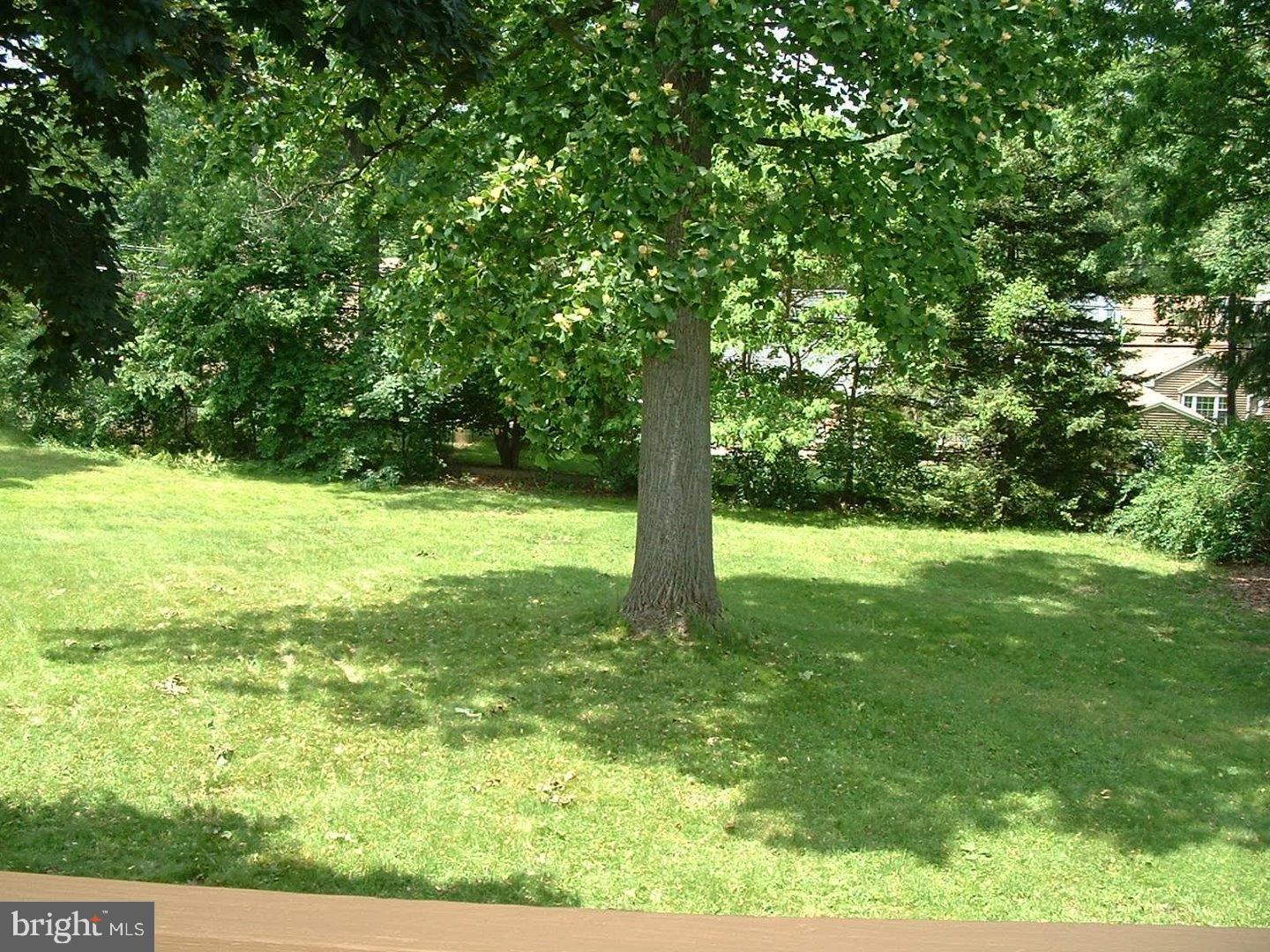 110 Barren Road Newtown Square, PA 19073 - Photo 14 of 15 a view of yard with green space