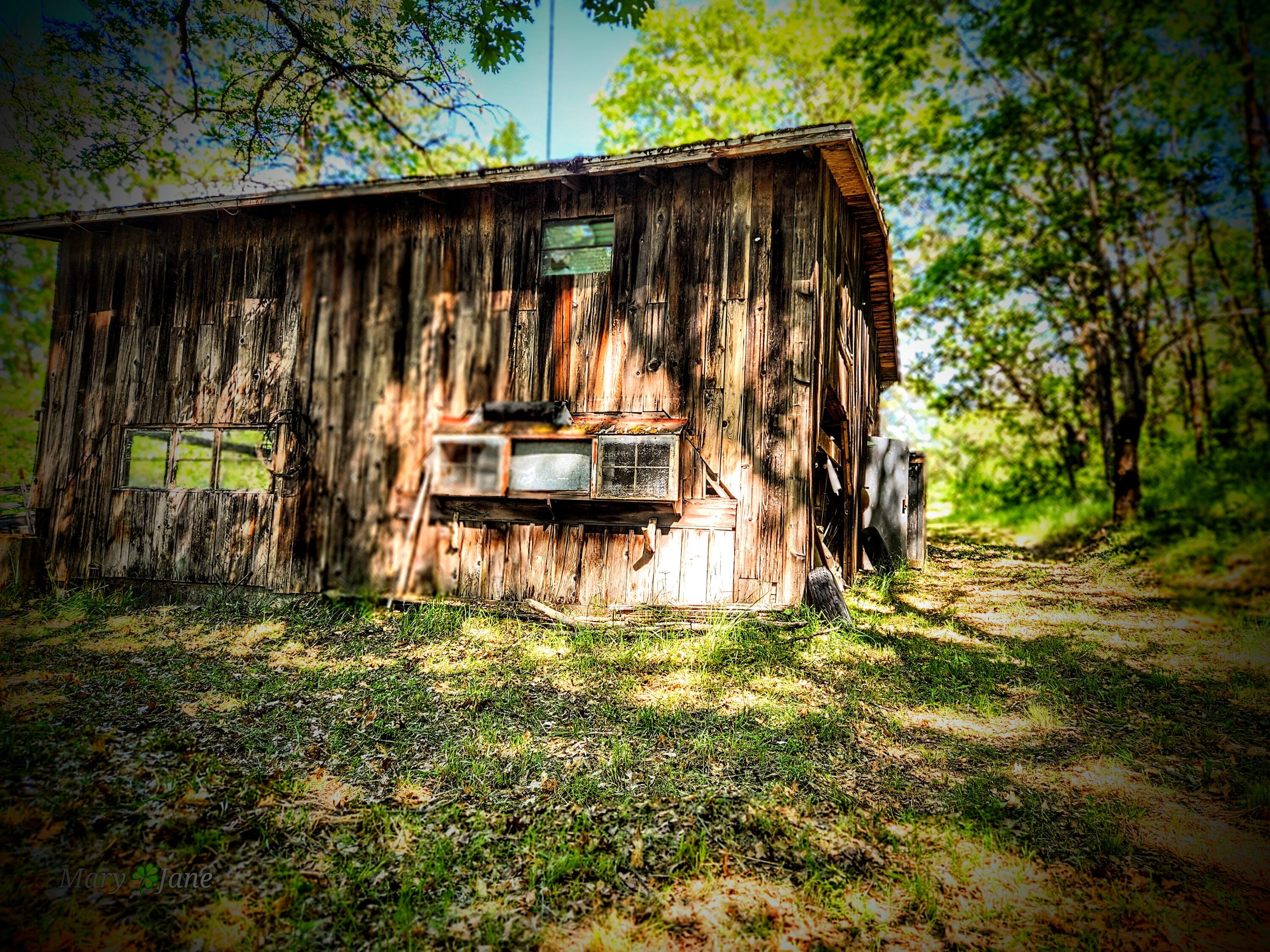 10441 Old Stage Road Gold Hill, OR 97525 - Photo 6 of 12 1000011272