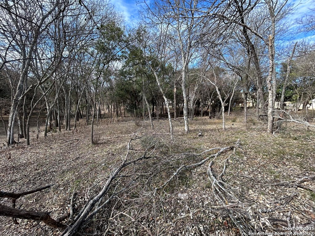 0 High Street Comfort, TX 78013 - Photo 2 of 8 a view of a yard with a tree