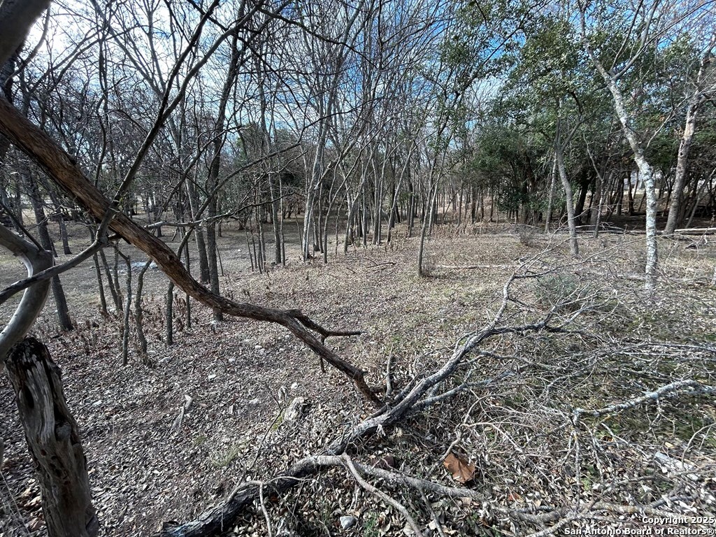 0 High Street Comfort, TX 78013 - Photo 3 of 8 a view of a forest filled with trees