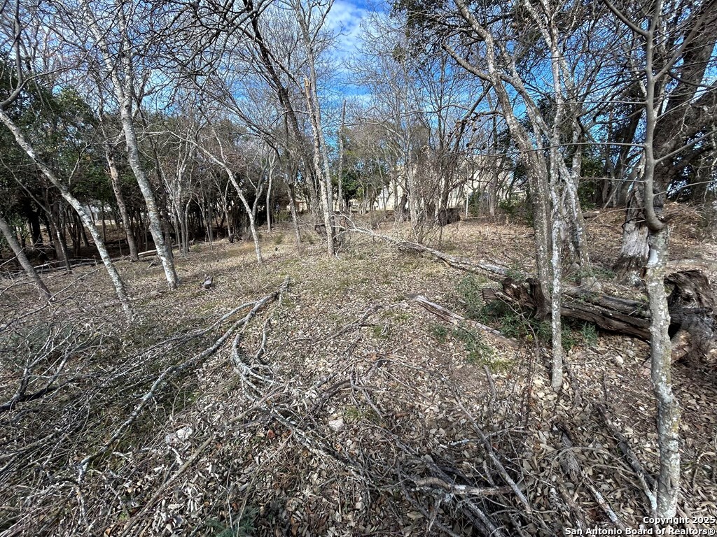 0 High Street Comfort, TX 78013 - Photo 4 of 8 a view of dirt yard with trees