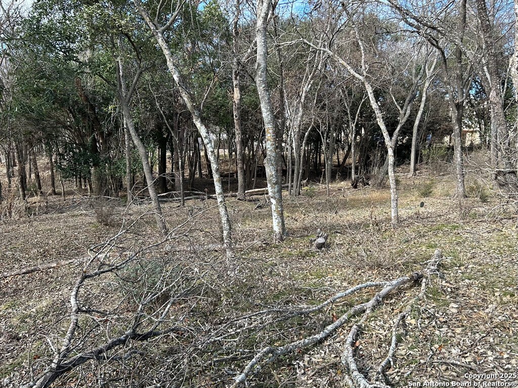 0 High Street Comfort, TX 78013 - Photo 6 of 8 a backyard of a house with lots of green space