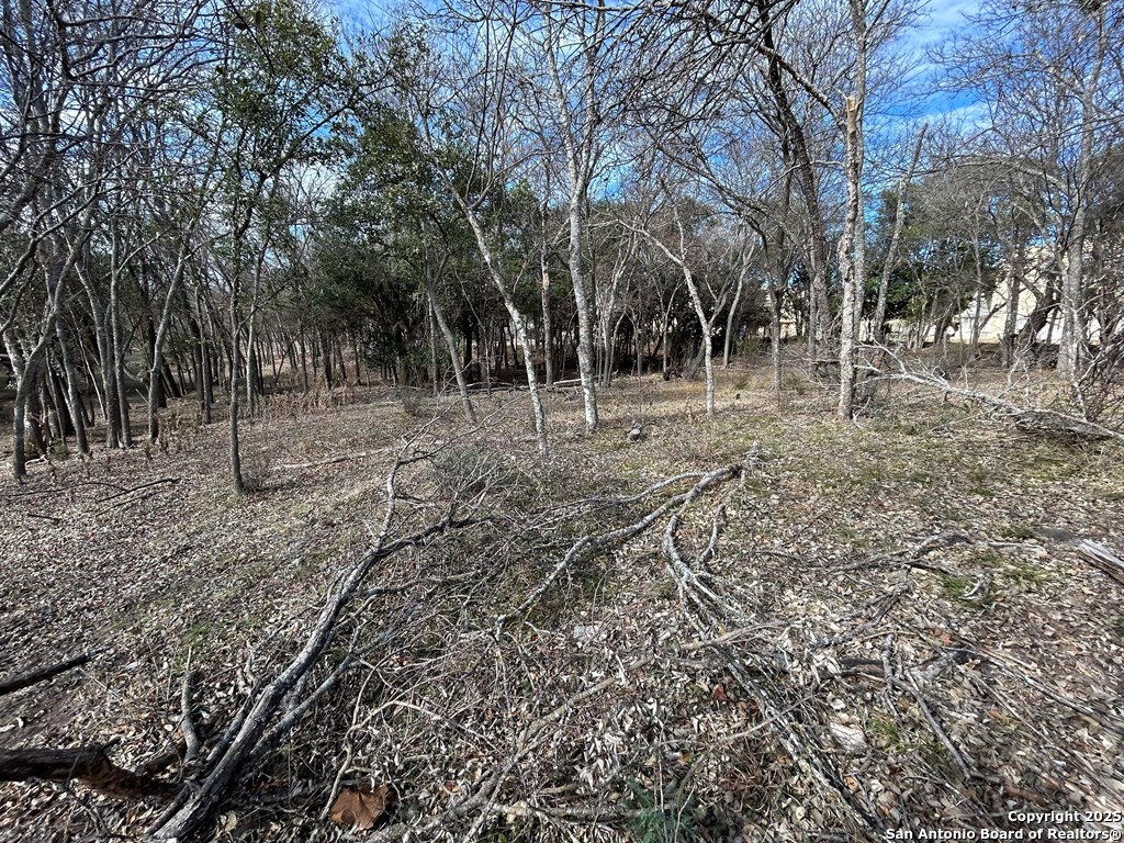 0 High Street Comfort, TX 78013 - Photo 7 of 8 a view of a forest with trees