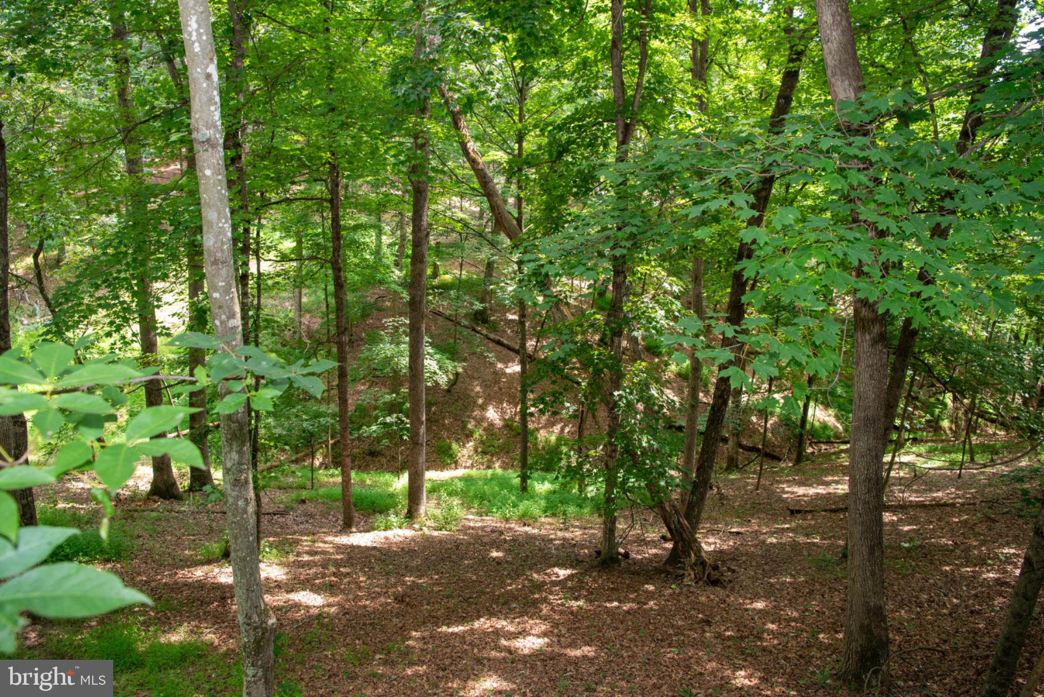 689 Snider's Ridge Mathias, WV 26812 - Photo 89 of 104 Gallery Image 89