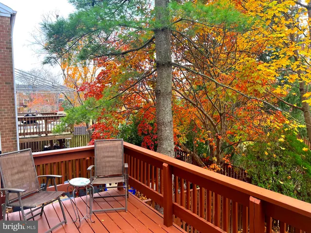 a kitchen with a refrigerator and a window