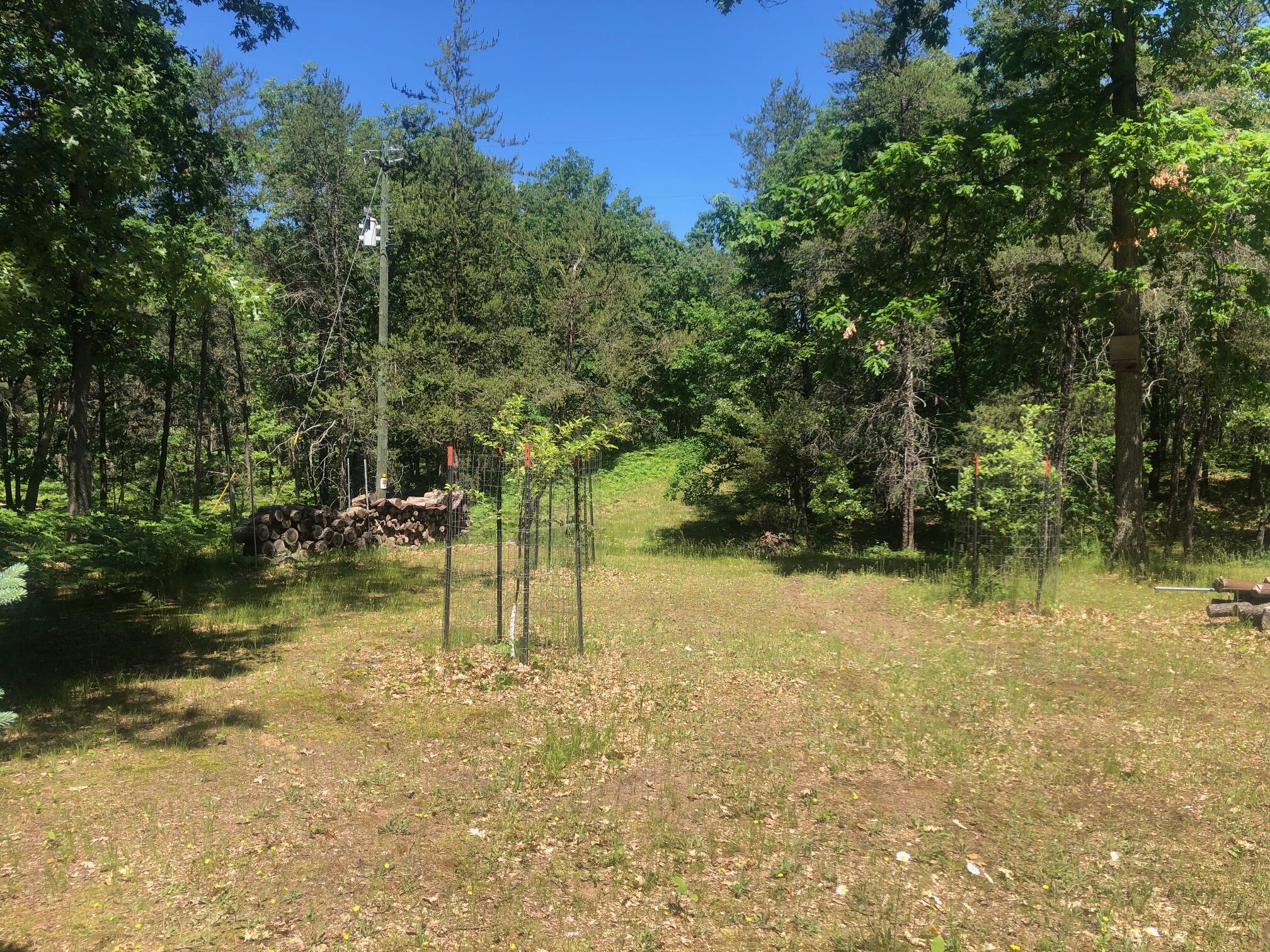 11591 North Campbell Road Manistee, MI 49660 - Photo 54 of 72 IMG_4230