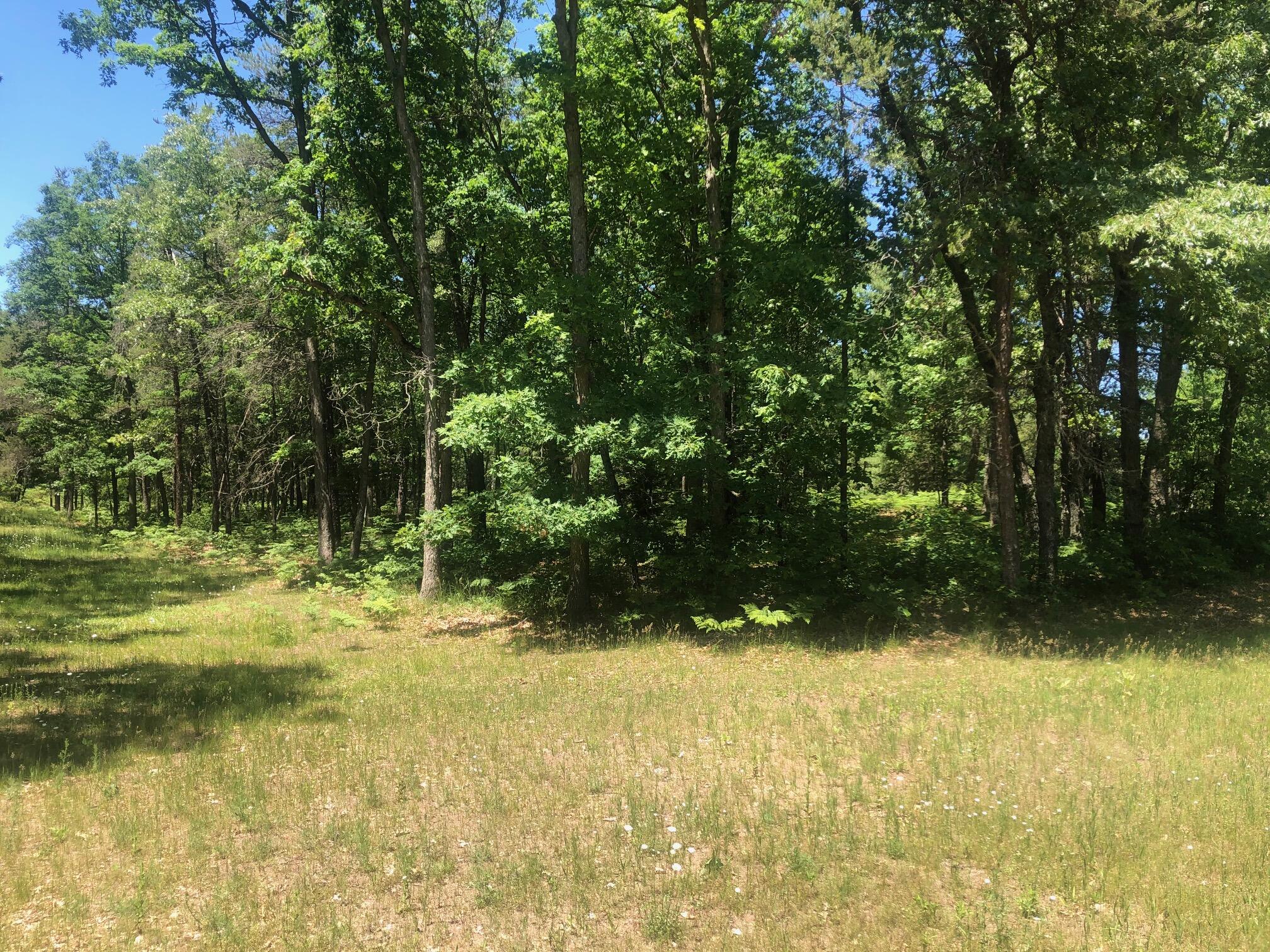 11591 North Campbell Road Manistee, MI 49660 - Photo 55 of 72 IMG_4295
