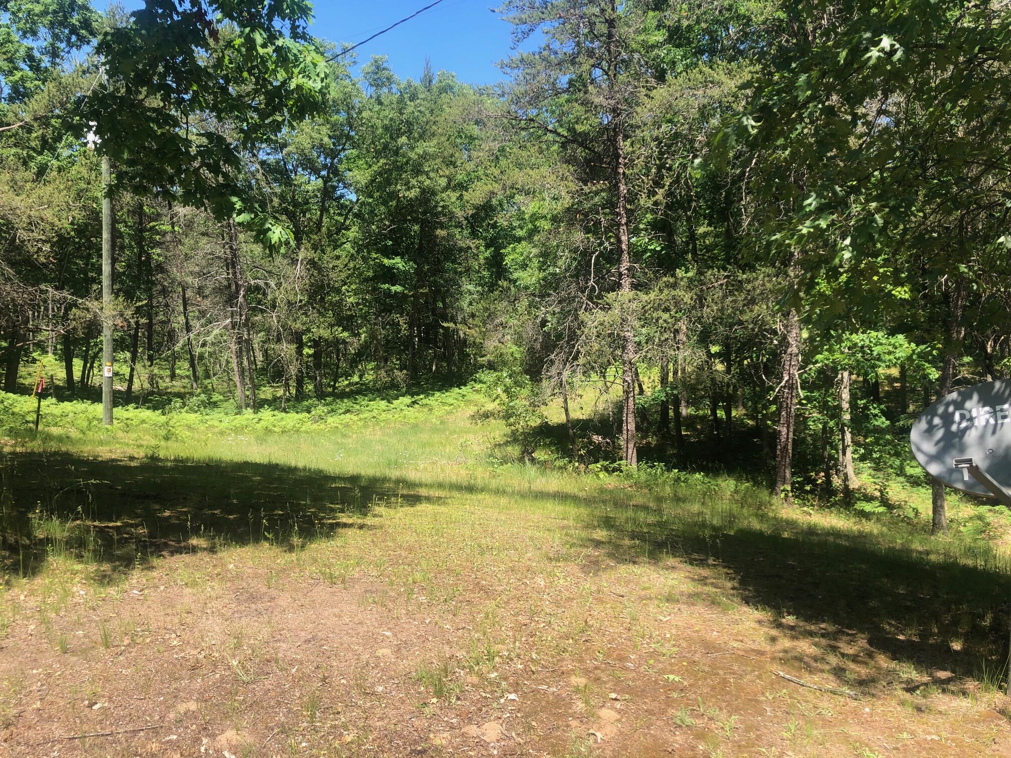 11591 North Campbell Road Manistee, MI 49660 - Photo 61 of 72 IMG_4226