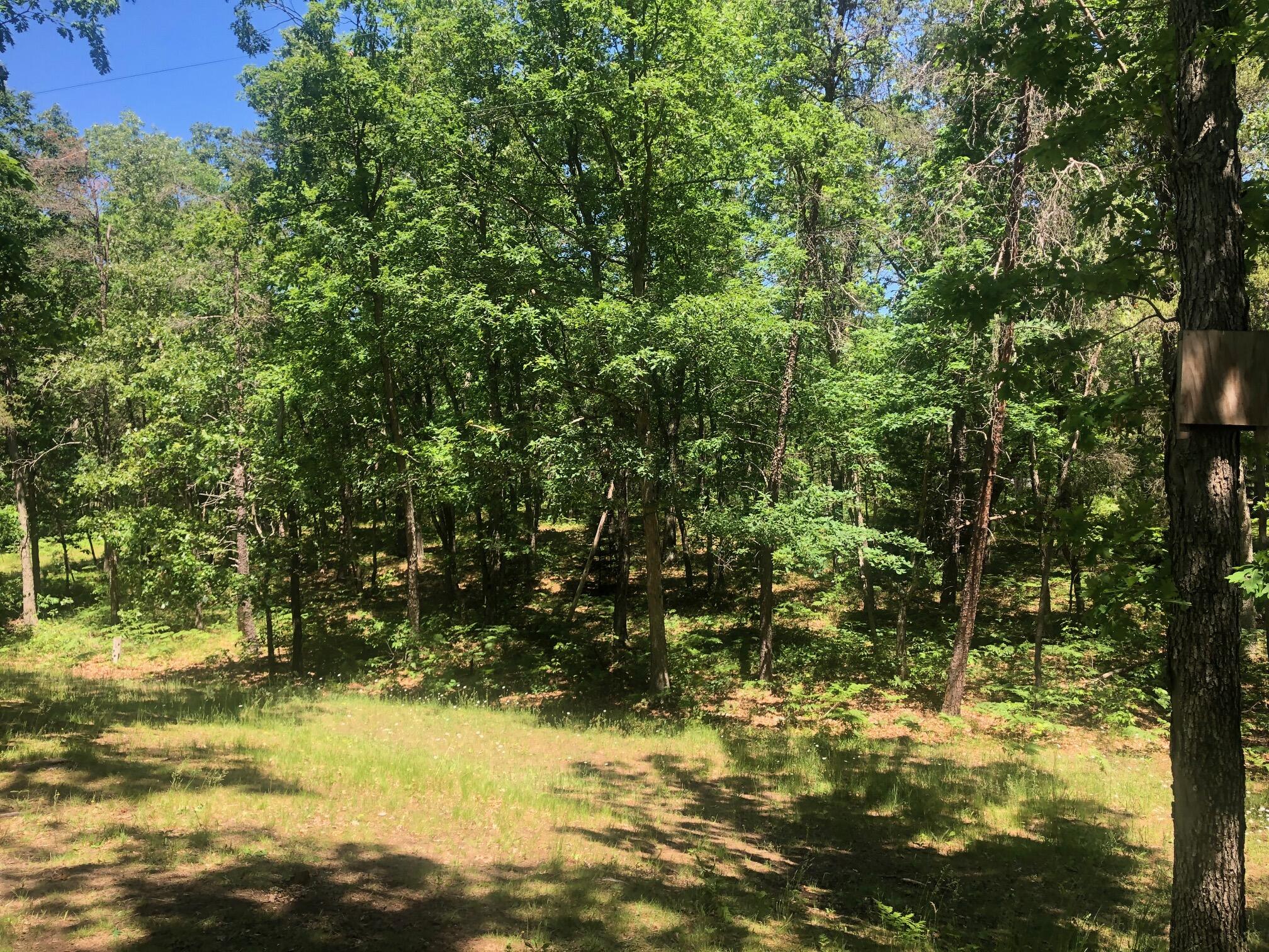 11591 North Campbell Road Manistee, MI 49660 - Photo 62 of 72 IMG_4222