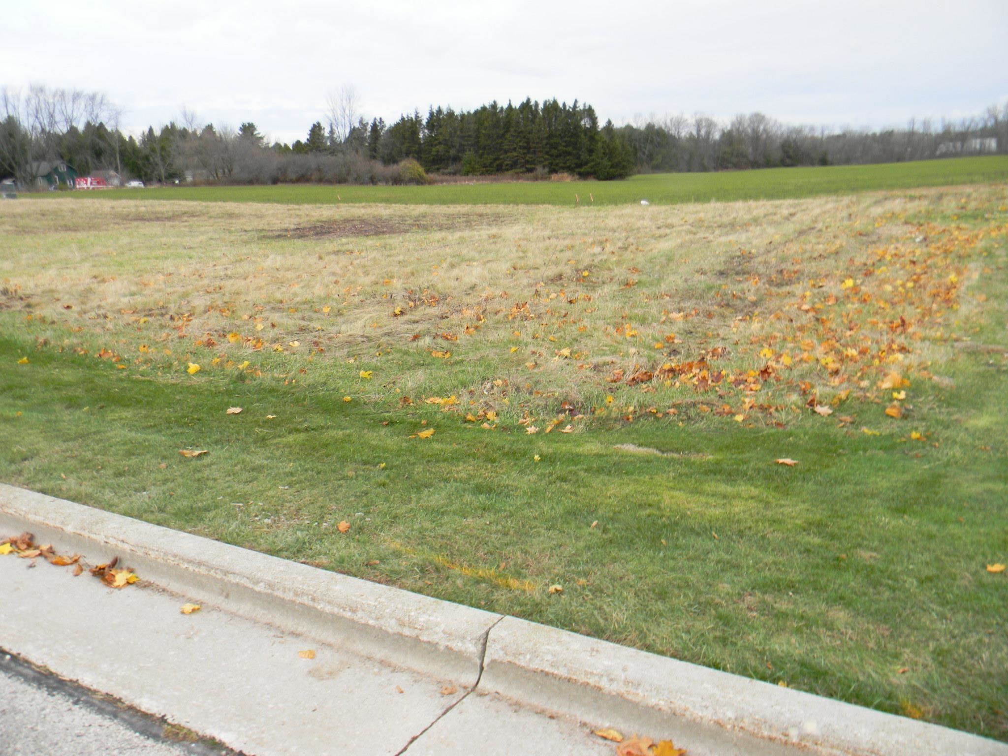 Navarino Street, Unit 3 Algoma, WI 54201 - Photo 3 of 10