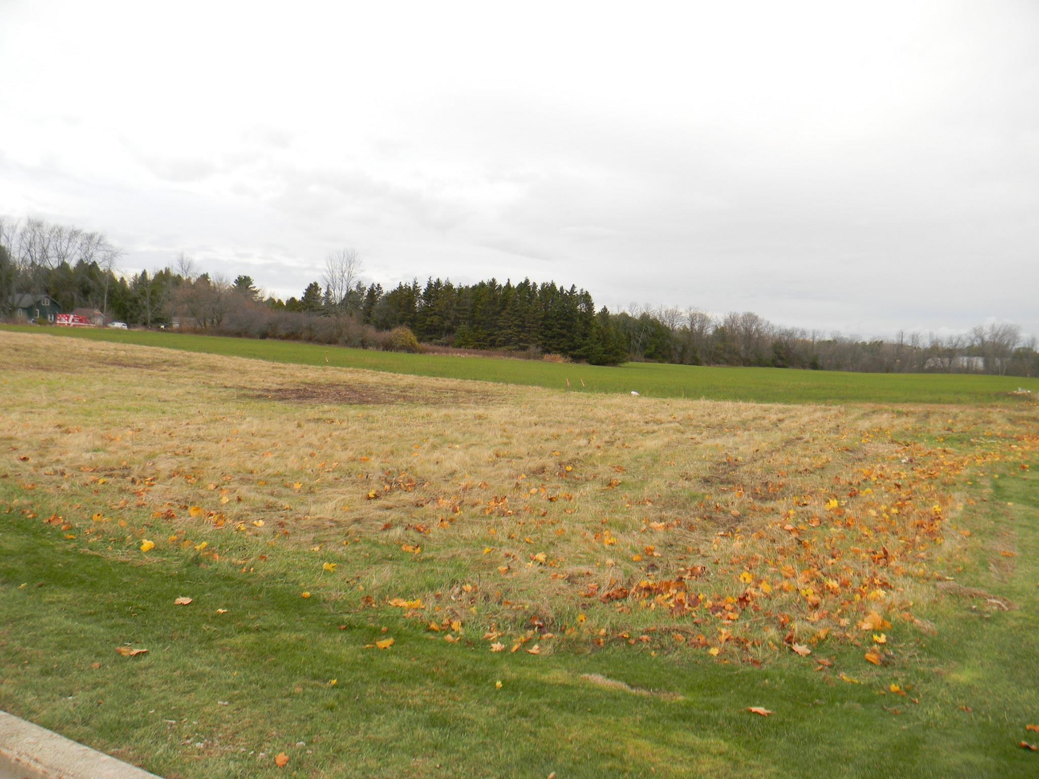 Navarino Street, Unit 3 Algoma, WI 54201 - Photo 4 of 10