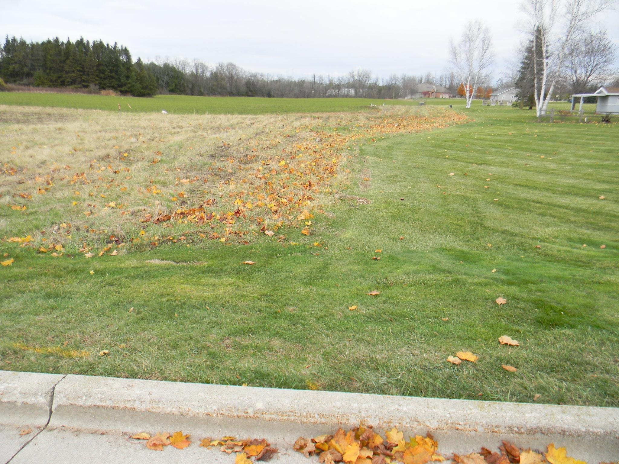 Navarino Street, Unit 3 Algoma, WI 54201 - Photo 5 of 10