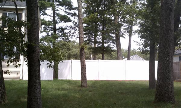 19 Ingersoll Road Billerica, MA 01821 - Photo 5 of 23 a view of a yard in a yard
