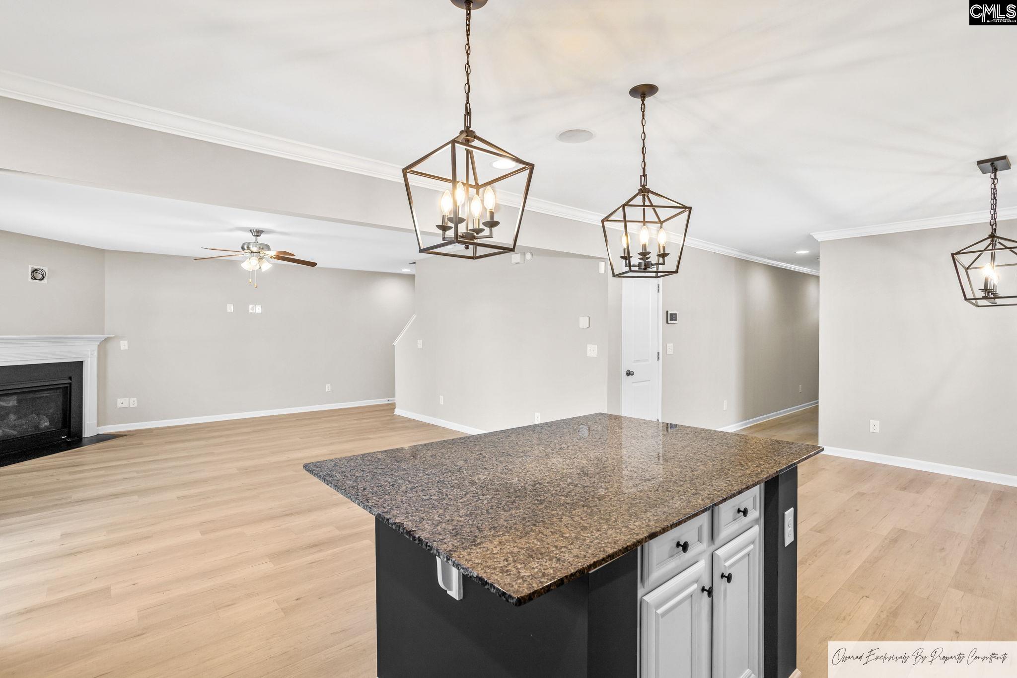 56 Texas Black Way Elgin, SC 29045 - Photo 11 of 37