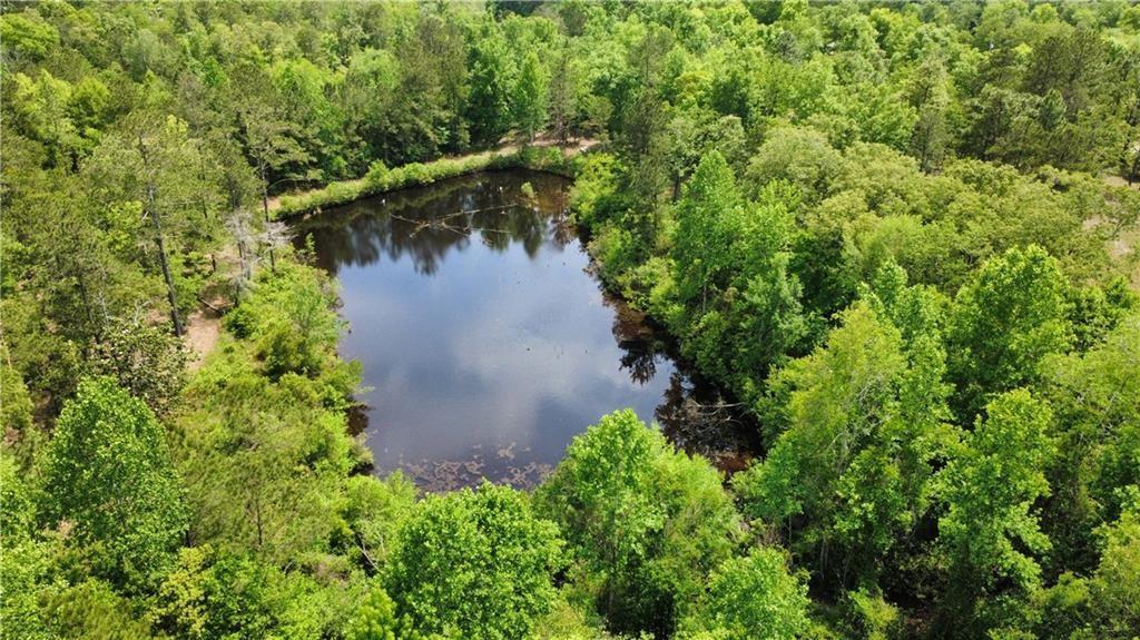 5591 Sandfort Road Seale, AL 36875 - Photo 1 of 10 Aerial view of a nearby body of water and a forest