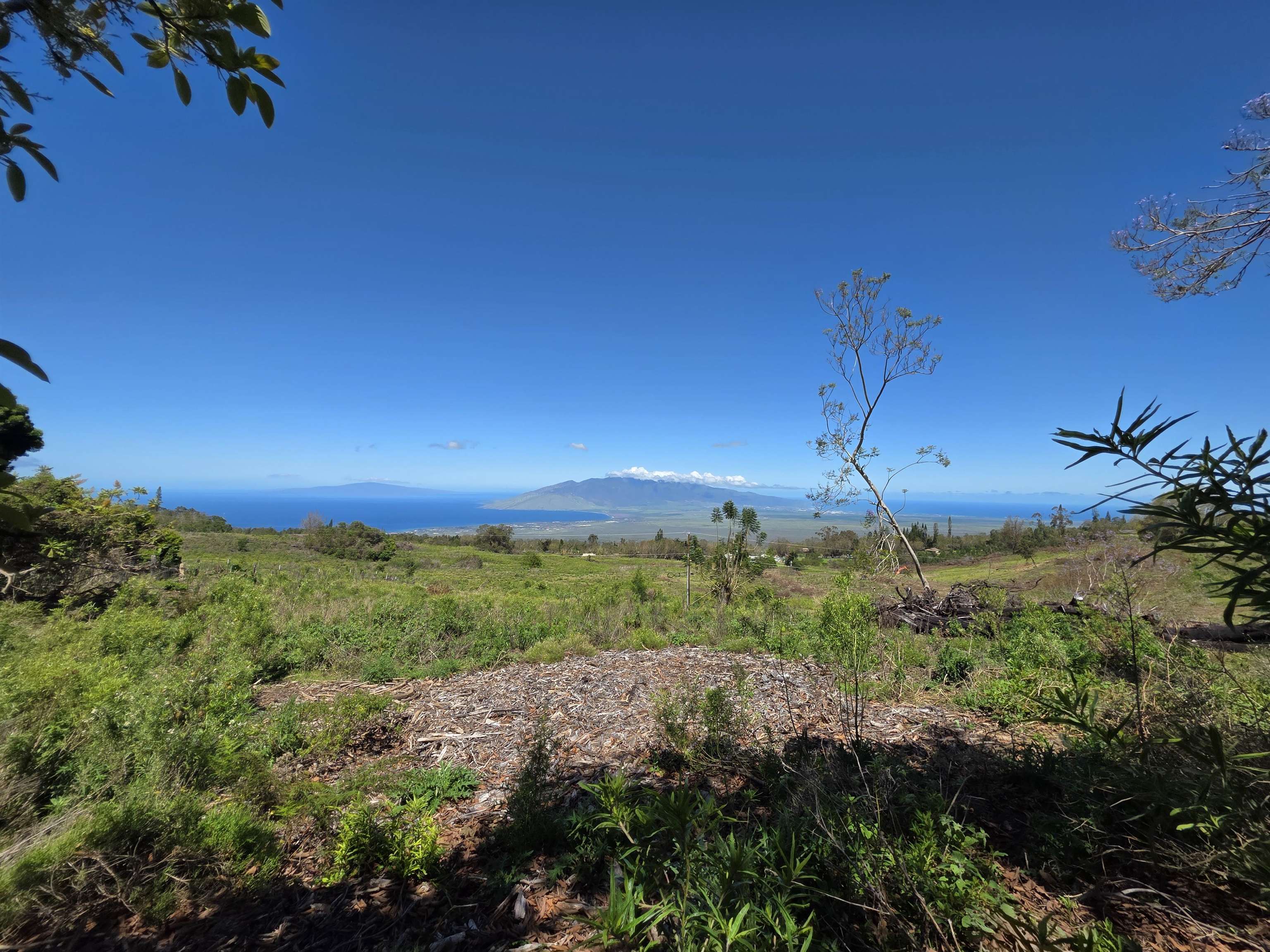 a view of a yard with an outdoor space