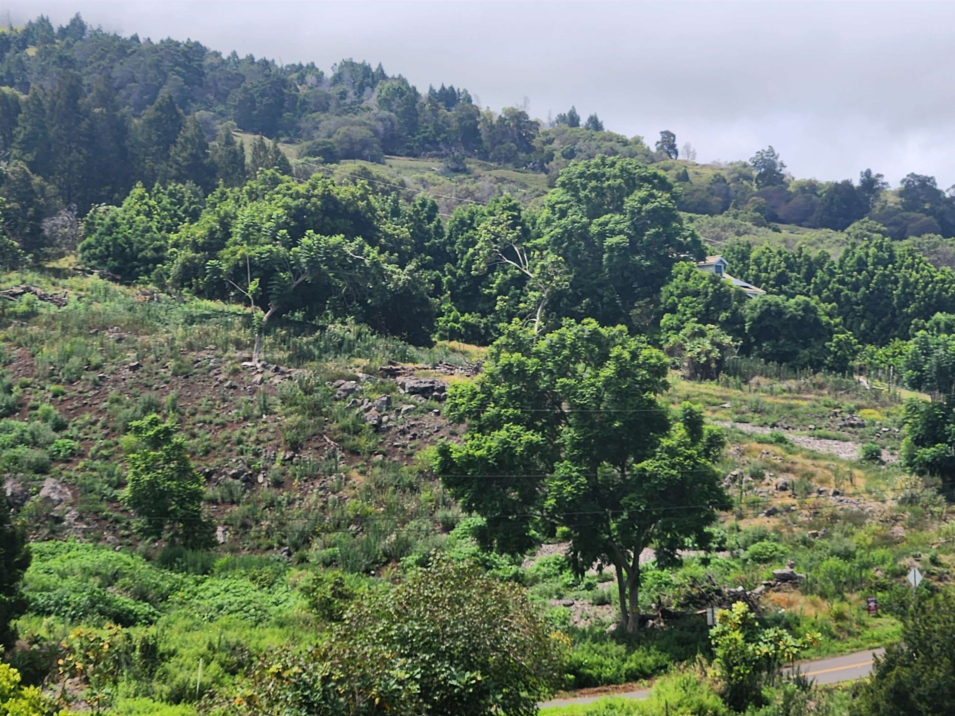 487 Cross Road Kula, HI 96790 - Photo 3 of 5 an aerial view of residential house with outdoor space and trees all around