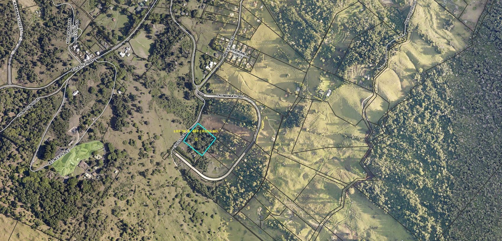 487 Cross Road Kula, HI 96790 - Photo 4 of 5 a view of a wooden floor with a tree