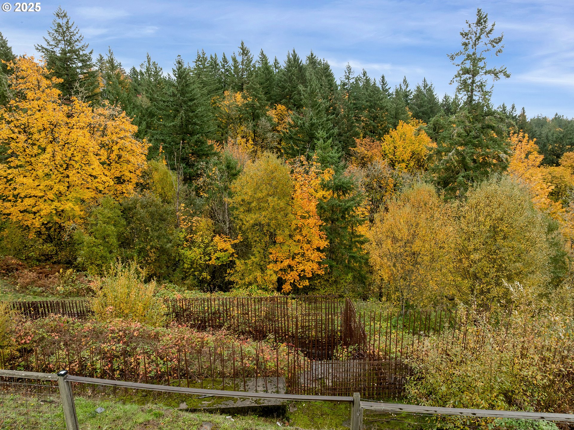 3030 Northwest Montara Loop Portland, OR 97229 - Photo 11 of 24 a view of a yard