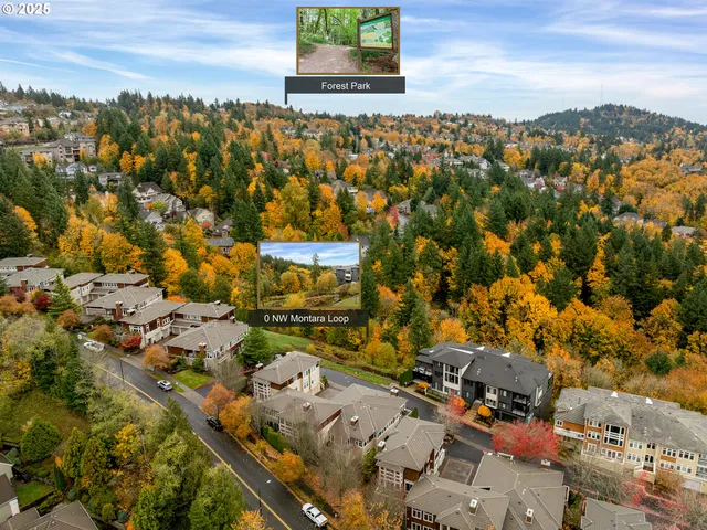 a view of a yard with large trees