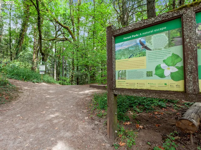 an aerial view of a city with lots of residential buildings