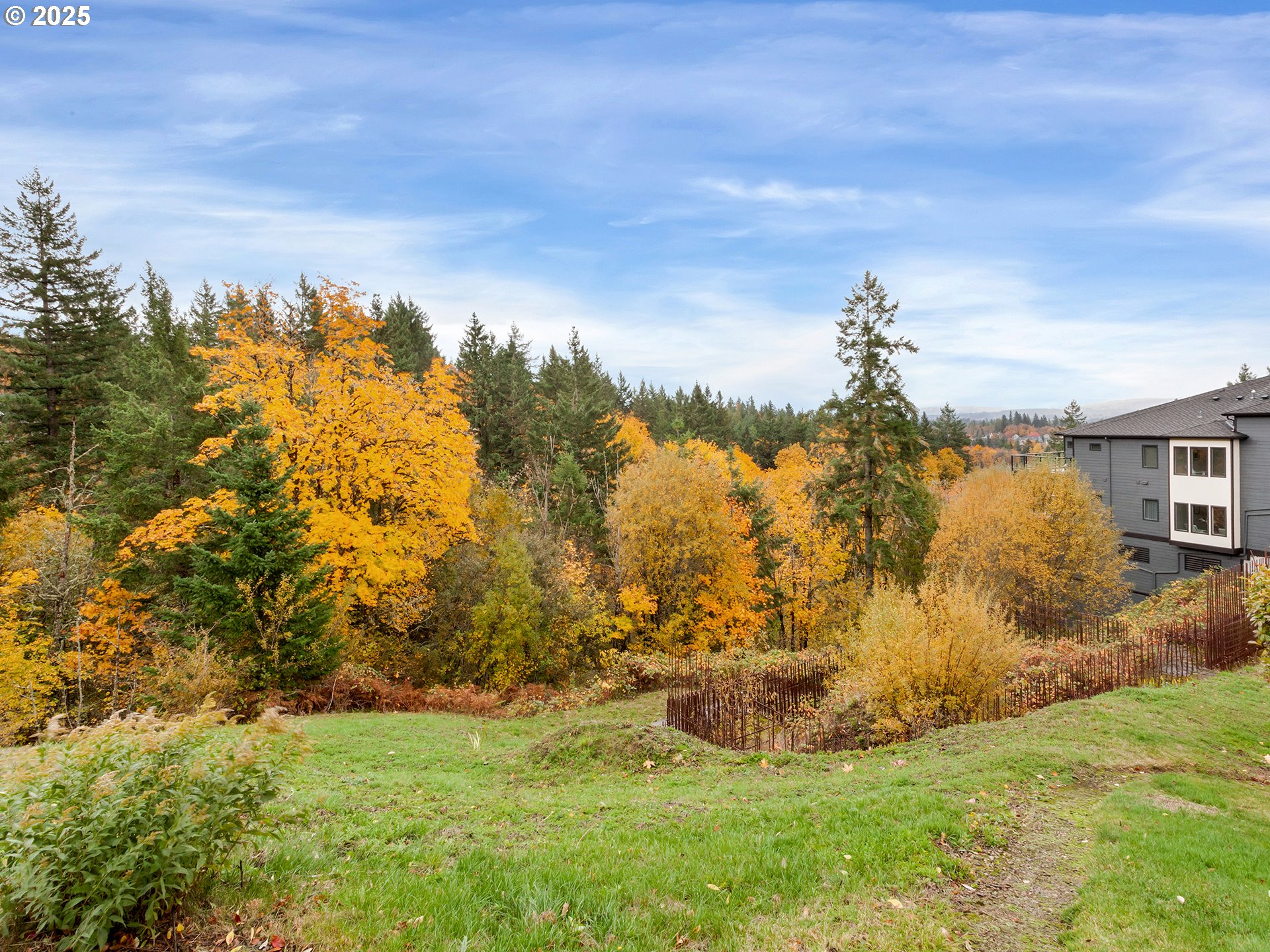 3030 Northwest Montara Loop Portland, OR 97229 - Photo 4 of 24 a view of a backyard