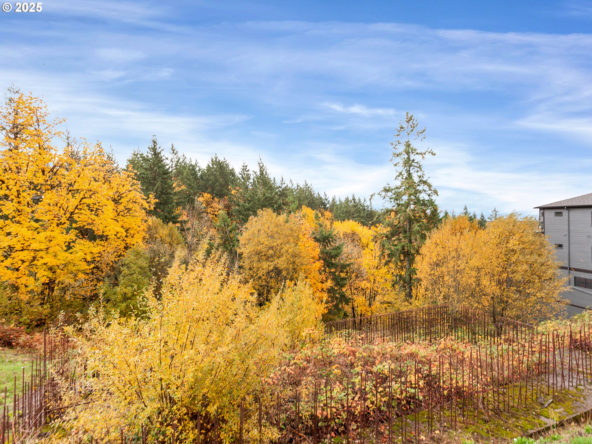 3030 Northwest Montara Loop Portland, OR 97229 - Photo 5 of 24 a view of a yard with wooden fence