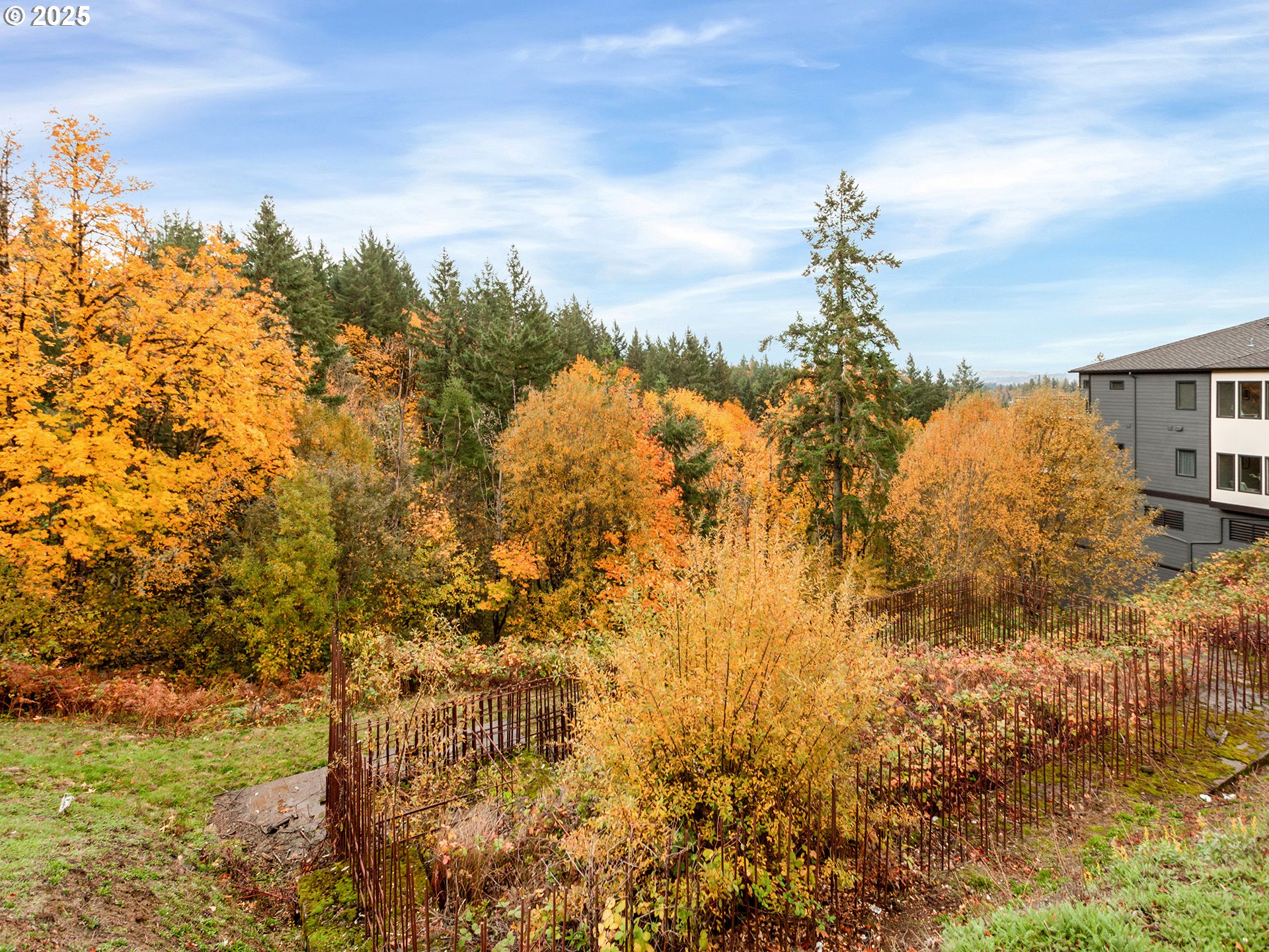 3030 Northwest Montara Loop Portland, OR 97229 - Photo 6 of 24 a view of a yard of the house