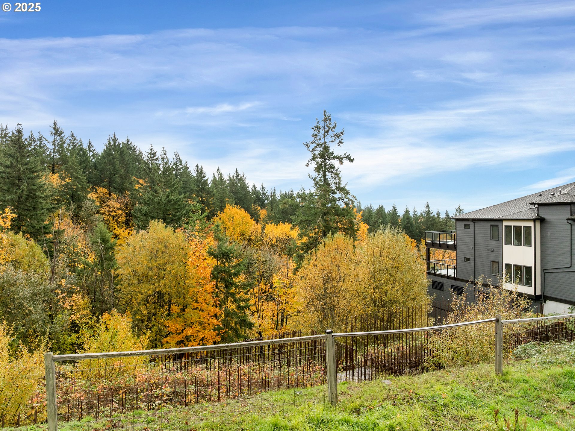 3030 Northwest Montara Loop Portland, OR 97229 - Photo 7 of 24 a view of a backyard